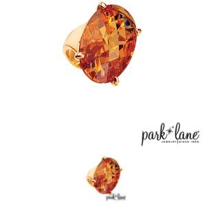 🔥NWOT🔥Costume 🔥jewelry 🔥by park lane 🔥